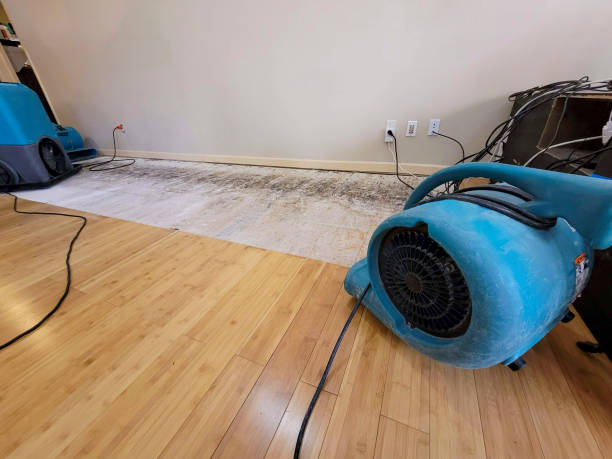 Professional Basement Flood Cleanup technician working in Green Cove Springs, FL